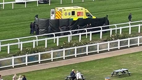 Horse dies and jockey taken to hospital after horrific incident at Ascot