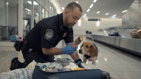 Airport Security USA- Folge 001