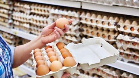 Sofralık yumurta ihracatında DFİF kesintisine son verildi