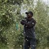 Steeds meer van ons voedsel wordt duurder door extreem weer