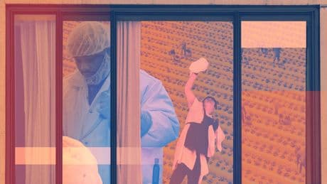 "Not Amnesty Lite": Trump's new plan for migrant worker visas