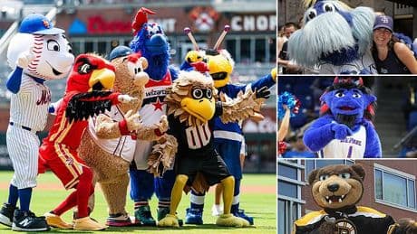 Battered by fans. Horrific injuries. And sex attacks. Insiders blow the lid on the shocking lives of sports mascots