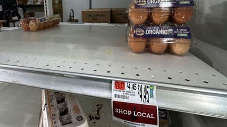 Eierknappheit: Ostern in den USA - Eier oder Kartoffeln färben?