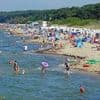 Temperaturen bis an die 40 Grad: Hundstage bescheren Deutschland astreines Sommerwetter