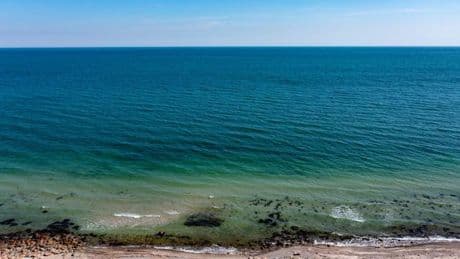 Meeresschutz: Land stellt Pläne für mehr Ostseeschutz vor
