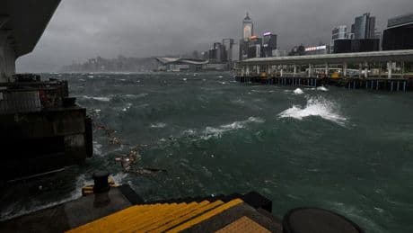Hong Kong, en yüksek alarm durumunda: “Wipha” yaklaşıyor