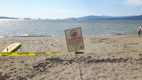 Multiple Metro Vancouver beaches closed due to elevated E. coli levels