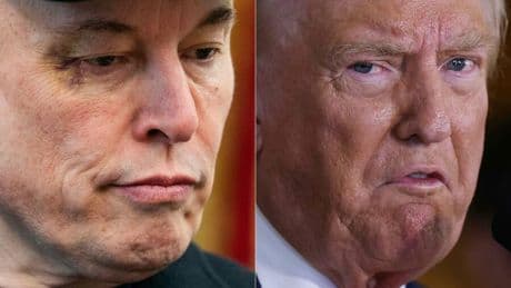 Musk und Trump: Tesla-Leerverkäufer kassieren nach Aktienabsturz Milliardengewinne
