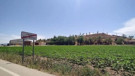Así es el municipio con más extranjeros de España: casi el 90 % de sus habitantes han nacido fuera del país