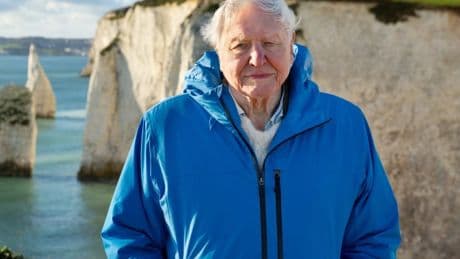 The heartbreaking moment in David Attenborough’s Ocean that will haunt me forever