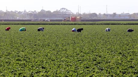 ¿Se dirige California hacia una recesión profunda?