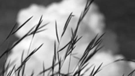 Notre sélection de livres cette semaine : « L’Ombre messagère », « Les Kamanga Kings », « Le Critique artiste »…