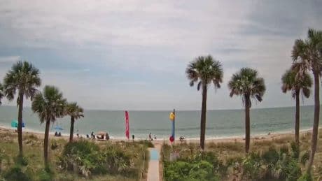 Tourists find 200-year-old human remains at beachfront property