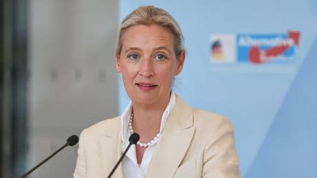 „Sowieso kein Fan dieser Musik“ - Jetzt ätzt Weidel gegen Vicky