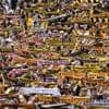 3. Fußball-Liga: Dynamo Dresden und Arminia Bielefeld steigen in die 2. Liga auf