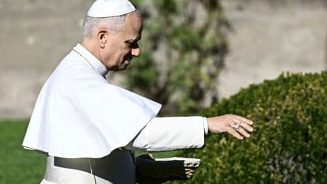 Pope feeds fish as he explores the Vatican’s new eco-friendly farm