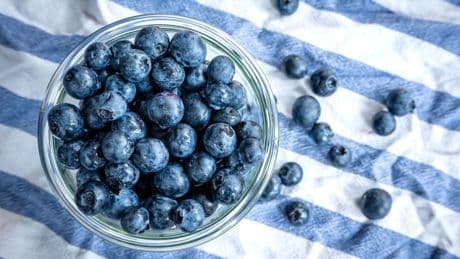 Blaues Wunder: Die Heidelbeere, die Kim Kardashian des Obstkorbs