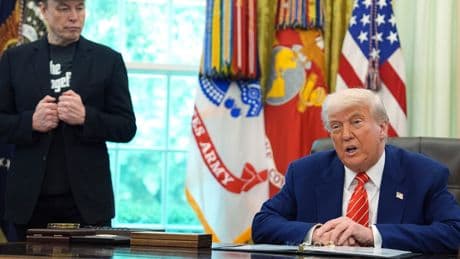 Leaving Trump's side didn't make Elon Musk much more popular