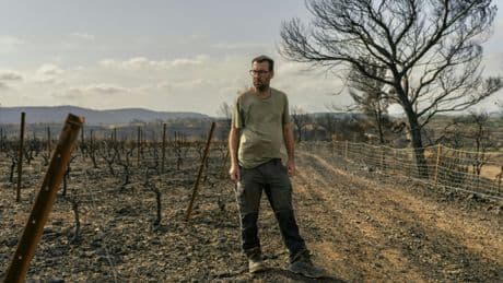 Après l’incendie des Corbières, l’élan de générosité de viticulteurs solidaires