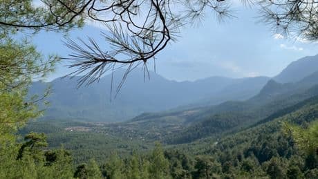 Kemer'de 100 dekarlık orman arazisinde yapılaşma izni