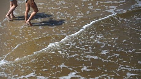 Das müssen Urlauber jetzt wissen - Tödliche Bakterien in der Nordsee entdeckt