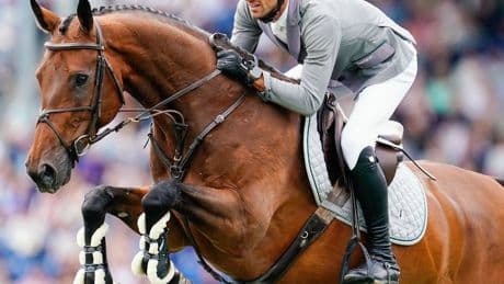 Reitsport: Springreit-Team bei EM in Spanien auf Medaillen-Kurs