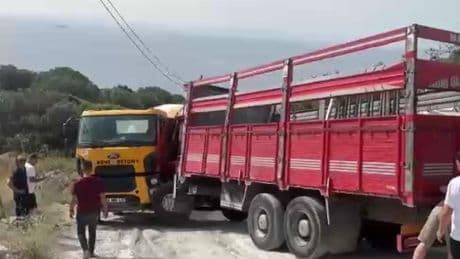 Bodrum'da, beton mikseri ile kamyonun arasında sıkışan sürücü öldü