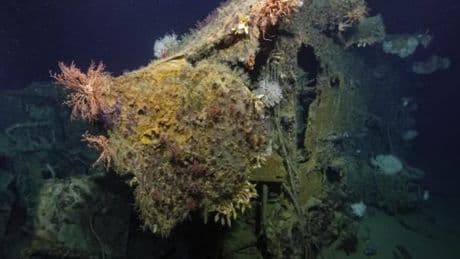 New ocean expedition captures images of 13 WWII shipwrecks from major naval battles