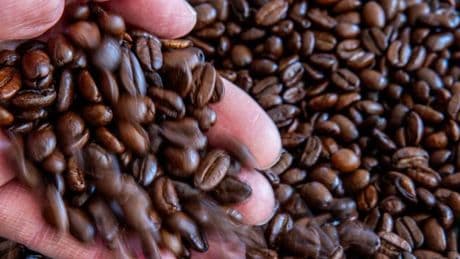 Preisschock für Verbraucher – Kaffeepreise in Deutschland steigen deutlich an