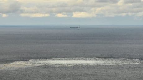 Darum zweifeln Geheimdienstkreise an der deutschen Segelyacht-Theorie