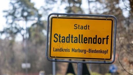 Ausgesetzter Hund: Welpe in Mülltonne entdeckt