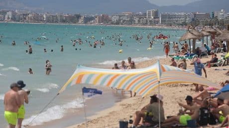 „Hai-Alarm“ am Ballermann – Mallorca-Urlauberin mit „klaffender Wunde“ im Krankenhaus