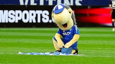 Nach der Horror-Saison - Die ganze Wahrheit über Schalkes Sponsoren-Deals