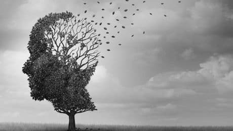 Three factors will stall dementia and the aging process, according to new U.S. study