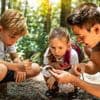 Vlaamse overheid zoekt ‘natuurbingers’ om deze week planten en dieren te spotten in tuinen, parken en bossen
