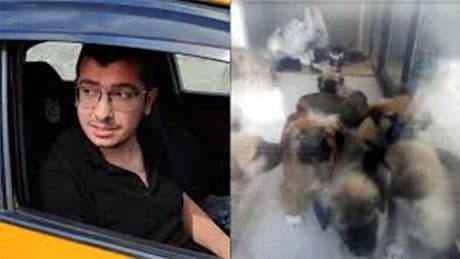 Köpekleri öldürmekle suçlanan doktor hakim karşısında: İftiraya uğradım