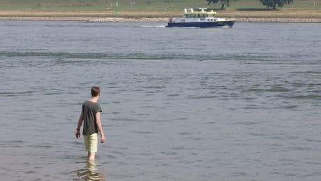 Düsseldorfer planschen trotz 1000 Euro Strafe - Badeverbot am Rhein? Mir doch egal!