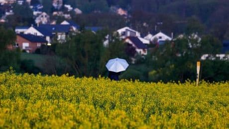 Wetter in Deutschland: Der Osten schwitzt, der Westen friert, dazwischen knallt's