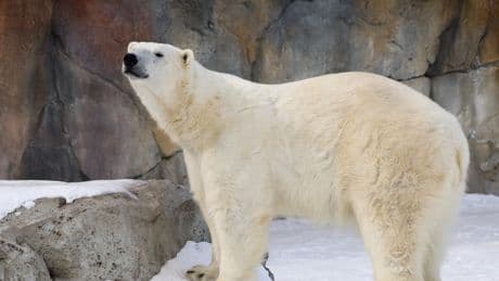 The Saskatoon Forestry Farm is hoping to expand