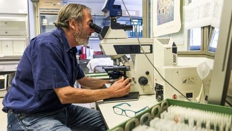 Detectan retrasos en el desarrollo cerebral de los fetos infectados por covid antes de las vacunas