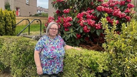 Scots pensioner fears she's being 'watched' after Christmas tree dumped in her garden