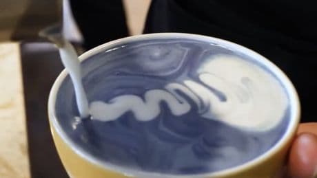 En nuestra obsesión por tener un café más "nutritivo", estamos echando un ingrediente que sabe a charco: espirulina