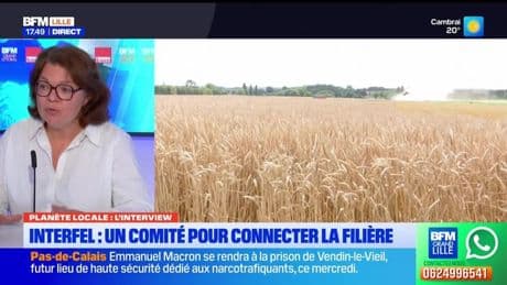 Planète Locale du mercredi 14 mai - Fruits/légumes : une filière clé dans les HDF