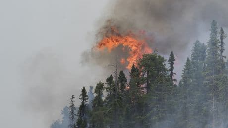 N.B. wildfires: 33 active fires across the province, 4 ‘out of control’