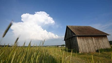 Sonne kommt zurück: Die Sonne kommt zurück: Kleiner Sommer im Anmarsch