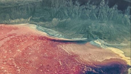 El lugar más hostil de África es este lago rojo que convierte a los animales en 'piedra'
