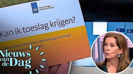 ‘Dit is een mogelijke oplossing voor falend toeslagenstelsel’