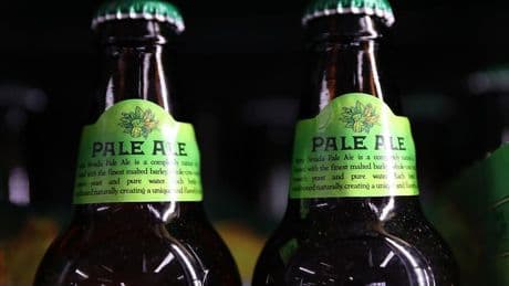 Classic Game Day Beers That Never Go Out Of Style