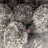 I tasted the 'world's SOUREST sweet' dubbed Black Death - so acidic it's not suitable for anyone under 12