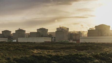 Atomkraftwerk in Nordfrankreich abgeschaltet - Quallen verstopfen Kühlpumpen